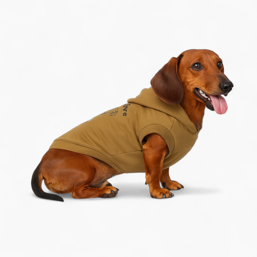 Pawvera-Dachshund-Printed-Hoodie.jpg