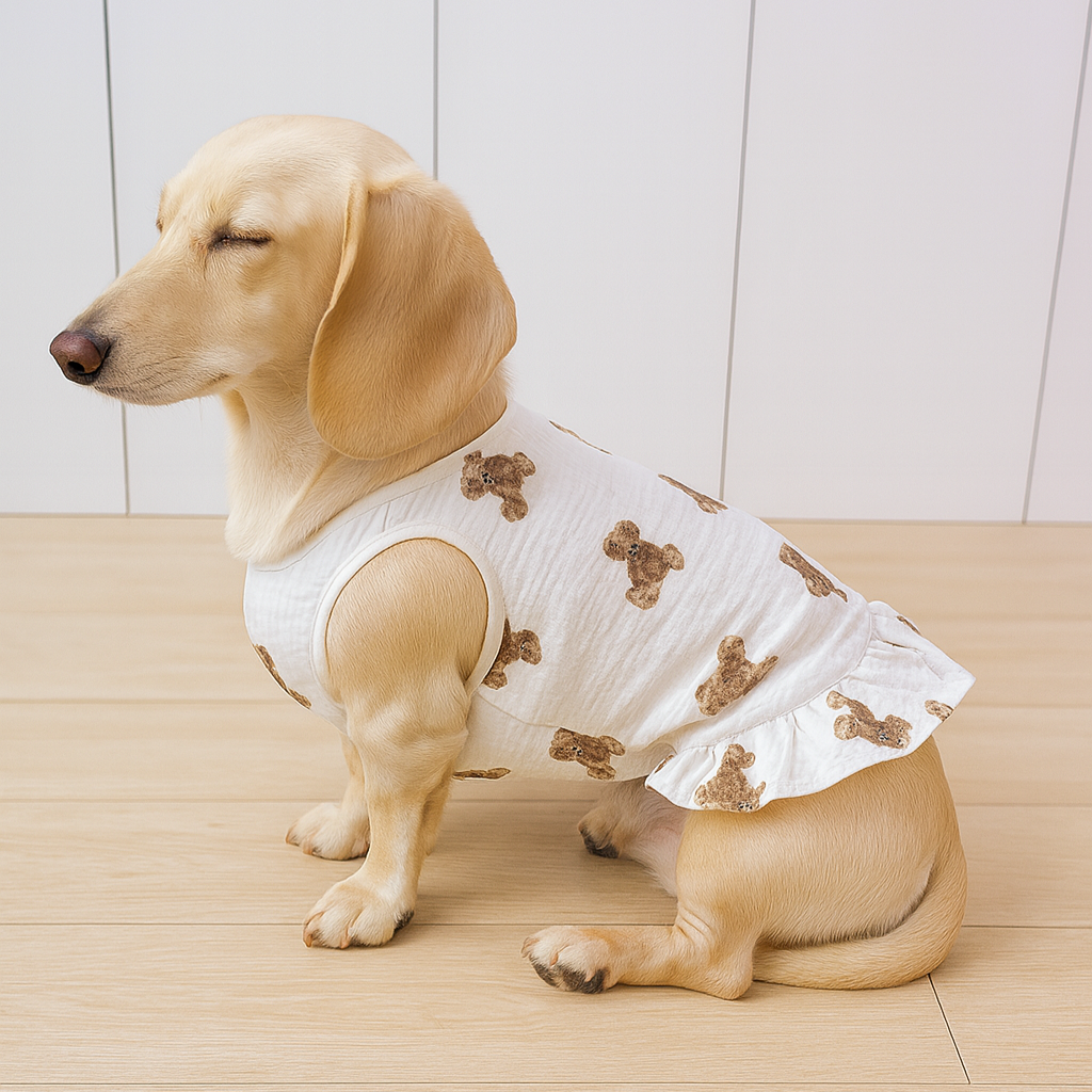 Pawvera-Dachshund-Summer-Dress.jpg