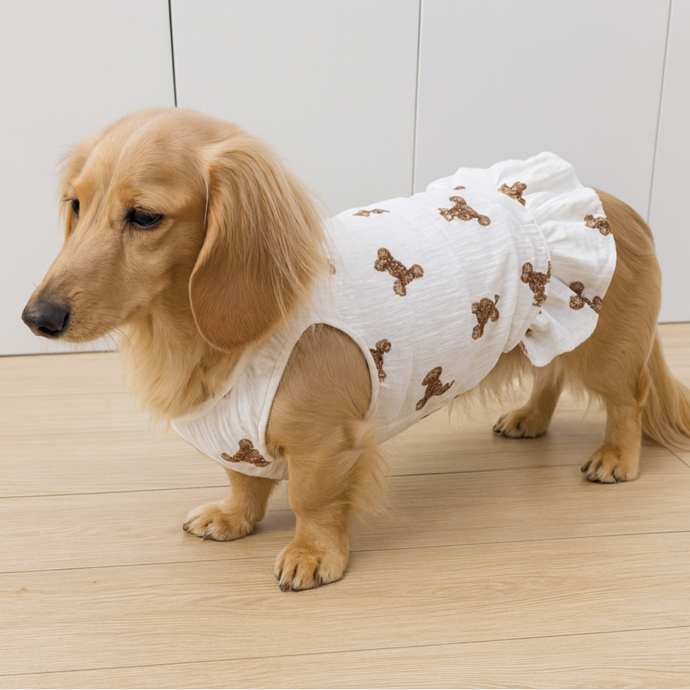 Pawvera-Dachshund-Summer-Dress.jpg