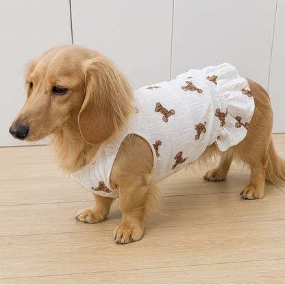 Pawvera-Dachshund-Summer-Dress.jpg