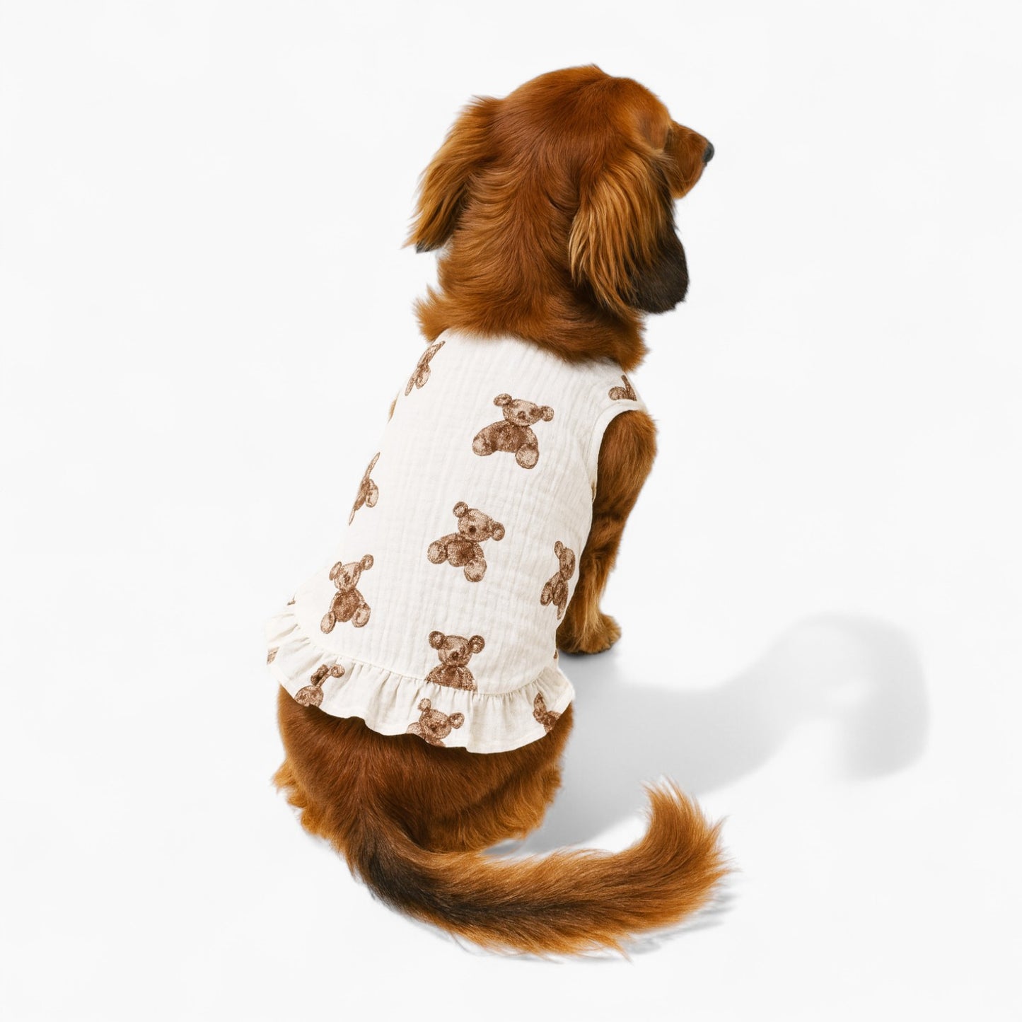 Pawvera-Dachshund-Summer-Dress.jpg