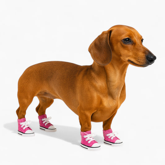 Pawzies-Dachshund-Canvas-Shoes.jpg
