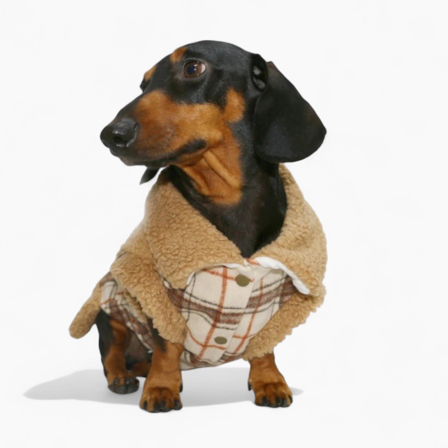 PlaiDox-Dachshund-Winter-Jacket.jpg