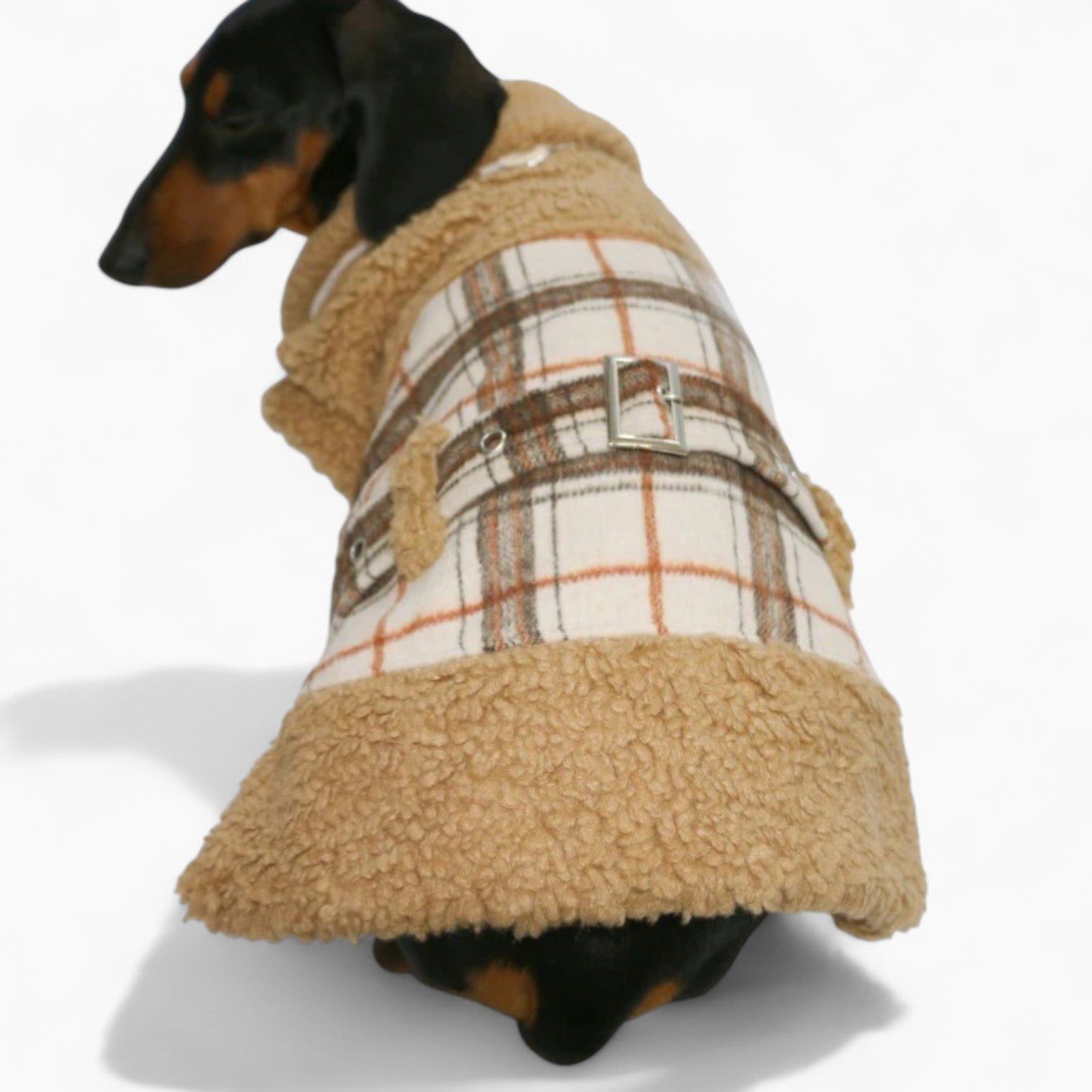 PlaiDox-Dachshund-Winter-Jacket.jpg