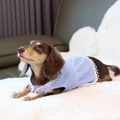 PlaidCharm-Dachshund -Summer-Dress.jpg