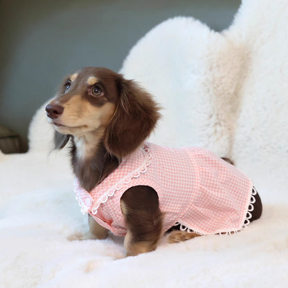 PlaidCharm-Dachshund -Summer-Dress.jpg