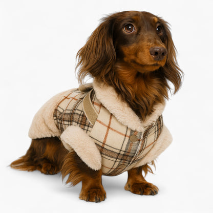 PlaidPaws-Dachshund-Winter-Jacket.jpg