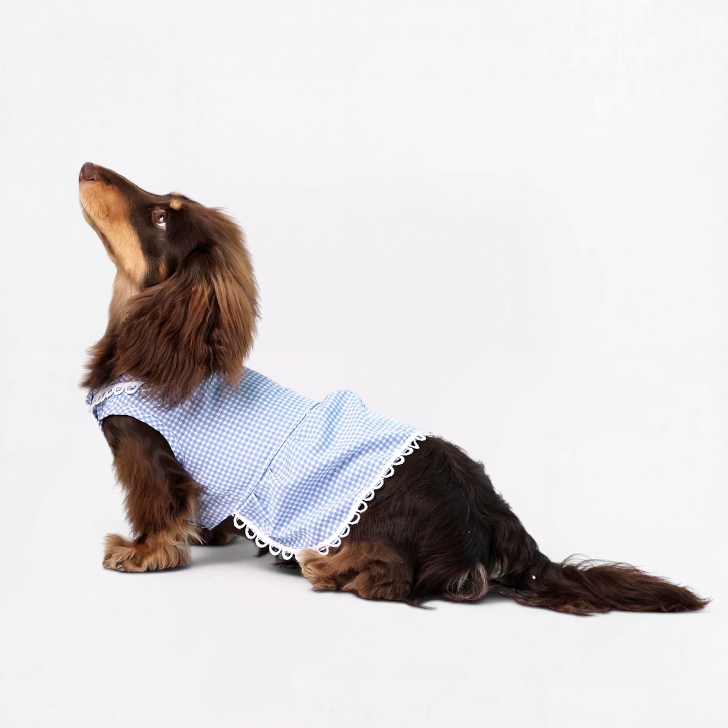 Plaidia-Dachshund-Summer-Dress.jpg