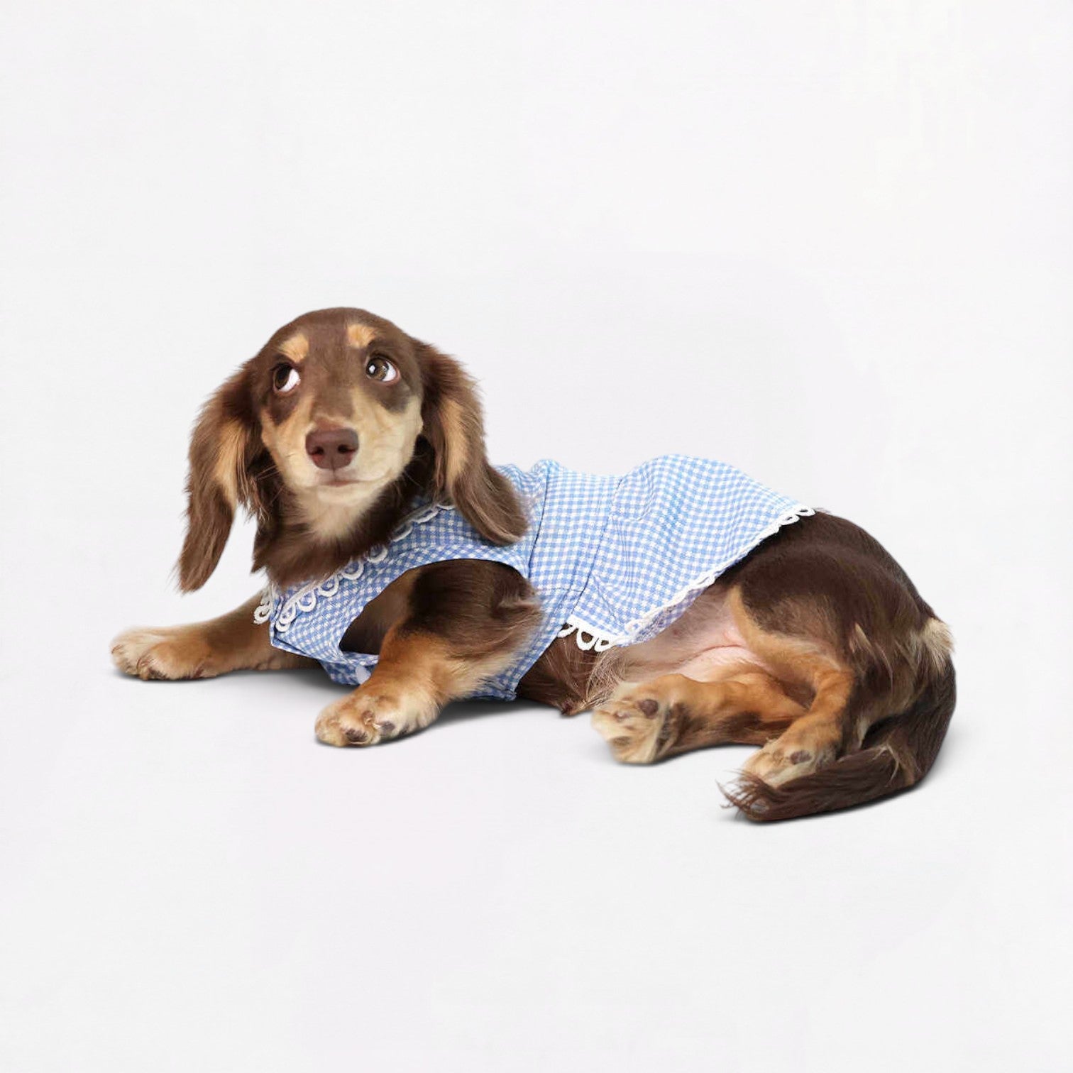 Plaidia-Dachshund-Summer-Dress.jpg