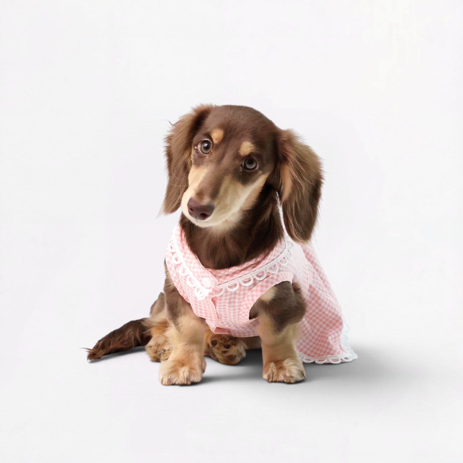 Plaidia-Dachshund-Summer-Dress.jpg
