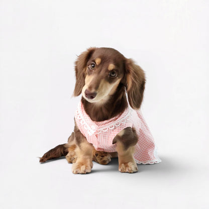 Plaidia-Dachshund-Summer-Dress.jpg