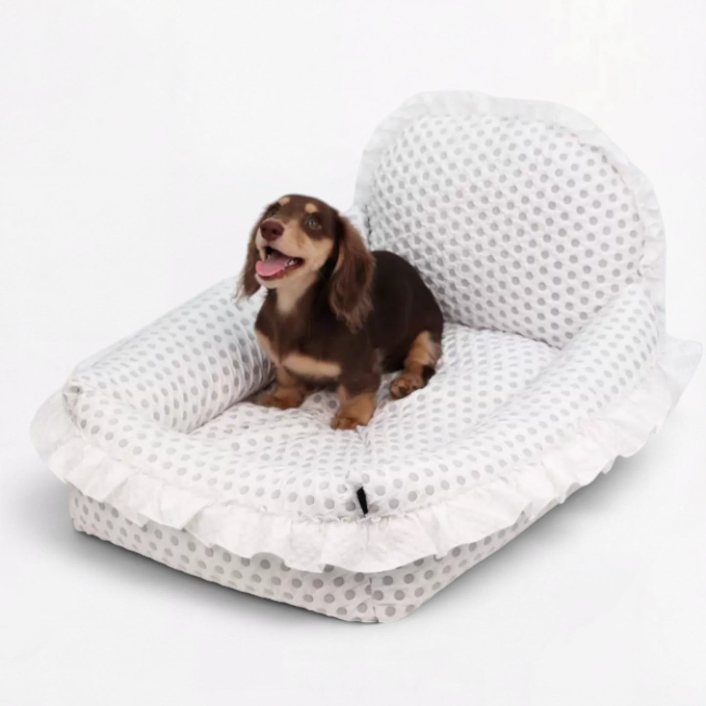 PolDot-Dachshund-Princess-Mat.jpg