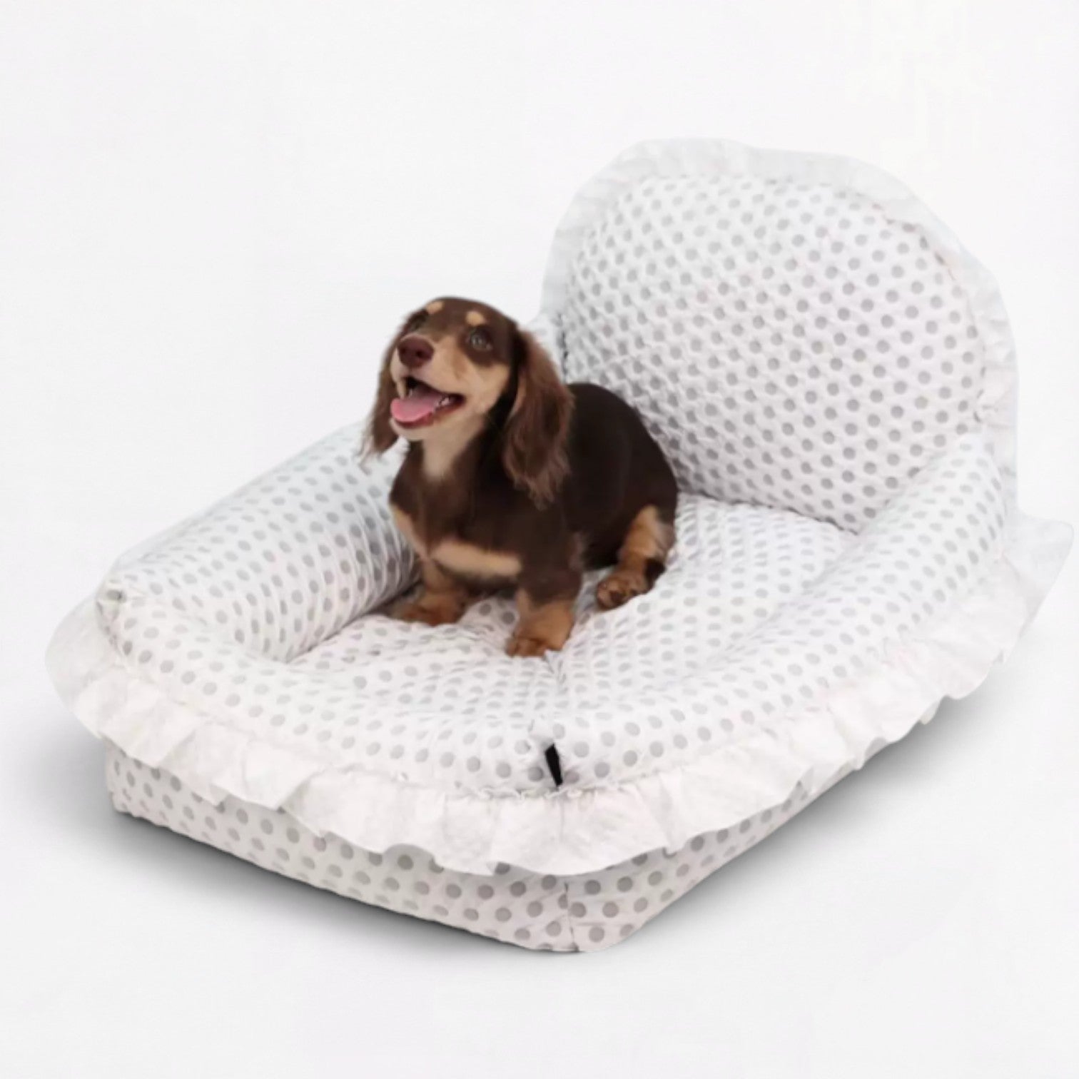 PolDot-Dachshund-Princess-Mat.jpg