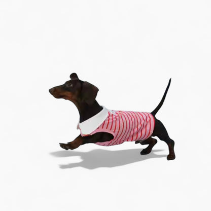 PoloHound-Dachshund-Polo-Vest.jpg
