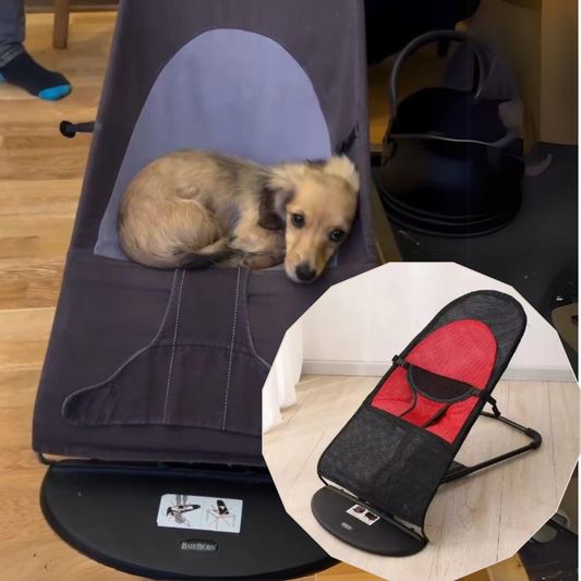 Portable-Rocking-Chair-for-Dachshund-www.doxie.us