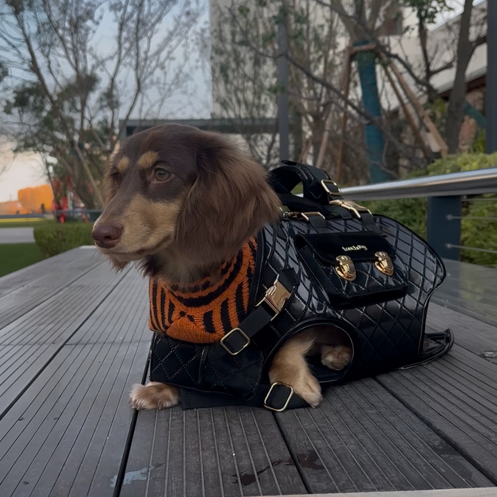 PrePaw-Dachshund-Backpack-Carrier.jpg