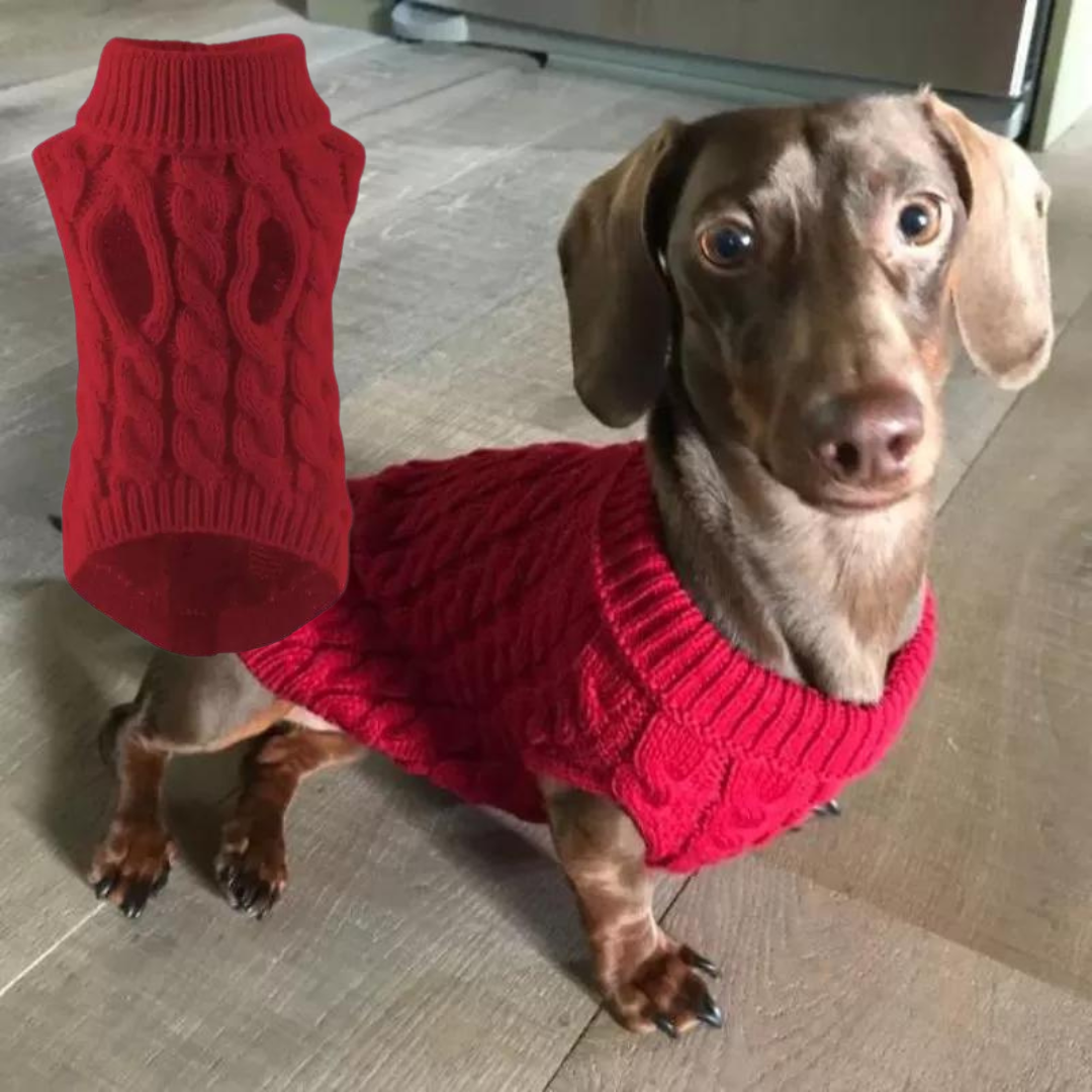 Premium-Dachshund-Wool-Sweater-www.doxie.us