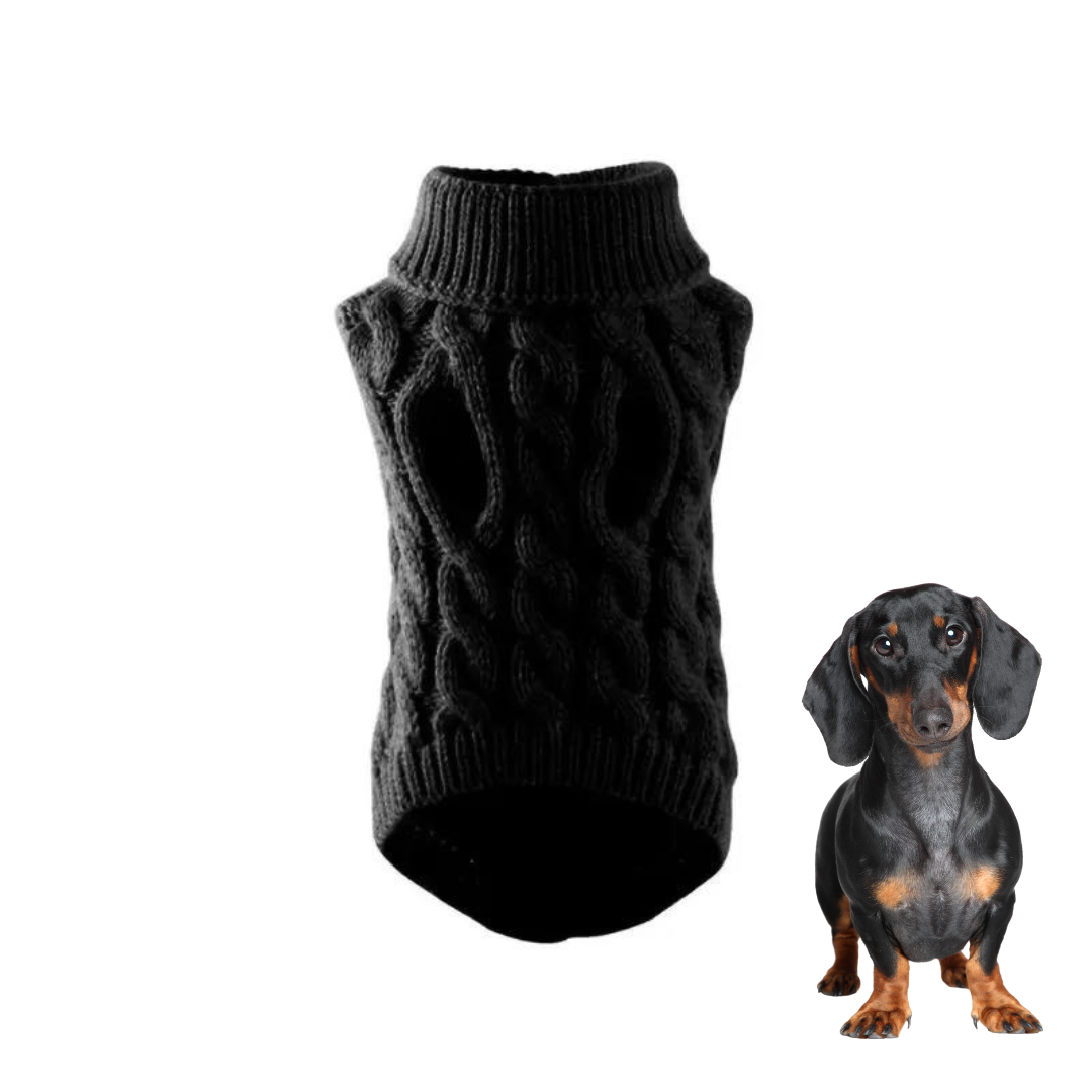 Premium-Dachshund-Wool-Sweater-www.doxie.us