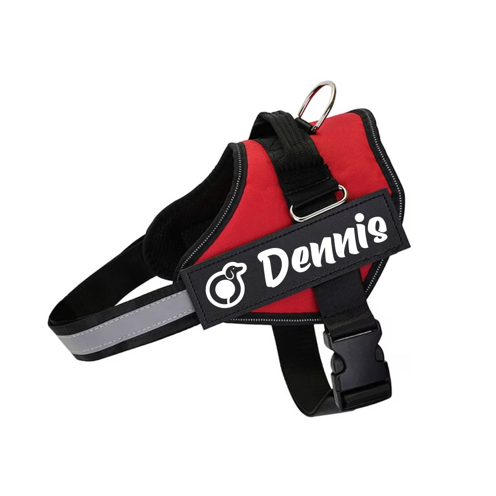 Dodge - Personalized Dachshund Harness