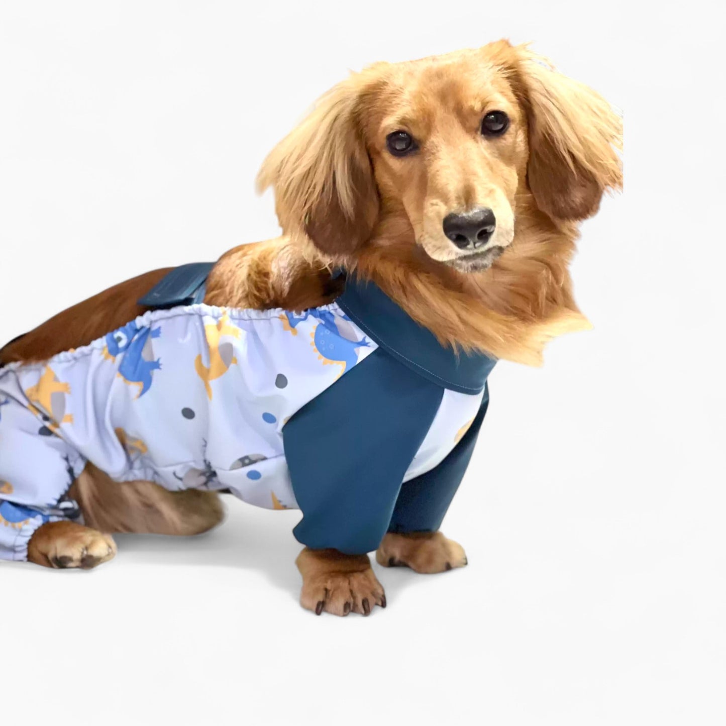 PuddleGuard-Dachshund-Rain-Suit.jpg