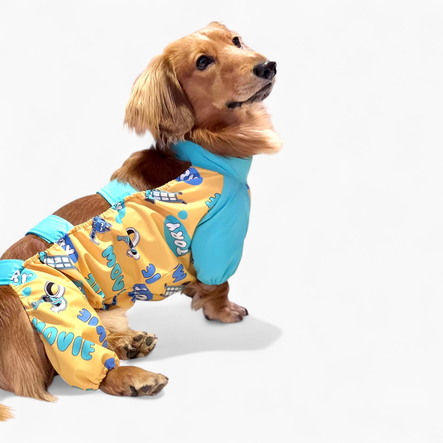 PuddleGuard-Dachshund-Rain-Suit.jpg