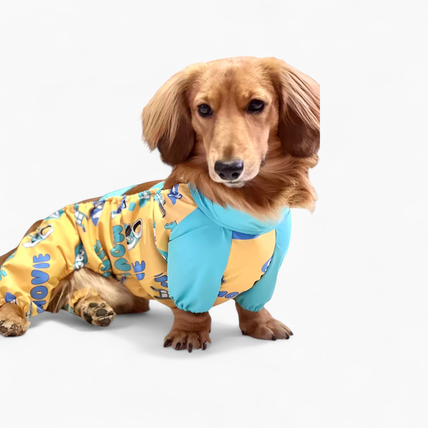 PuddleGuard-Dachshund-Rain-Suit.jpg