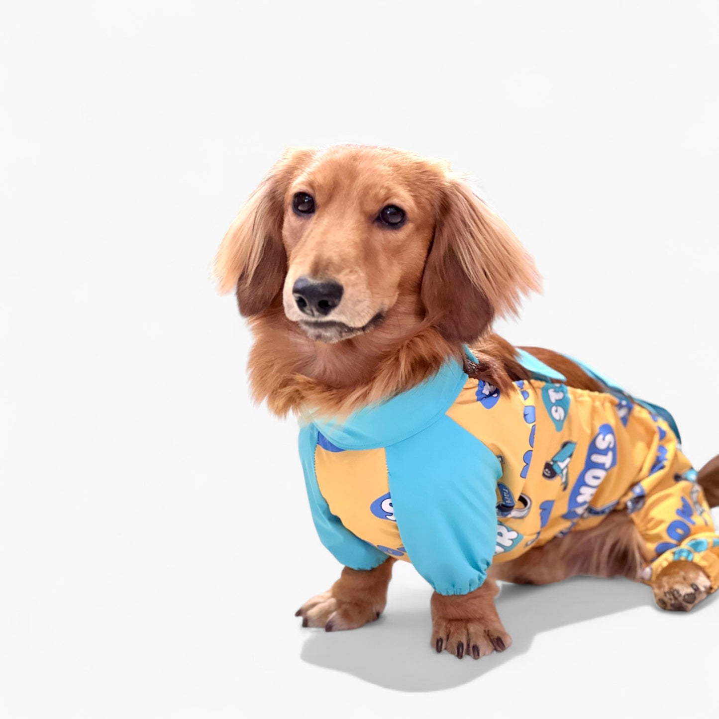 PuddleGuard-Dachshund-Rain-Suit.jpg