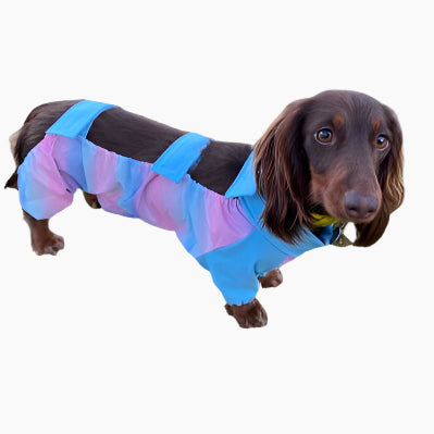 PuddleGuard-Dachshund-Rain-Suit.jpg