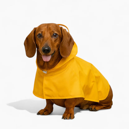 PuddlePup-Dachshund-Hooded-Raincoat.jpg