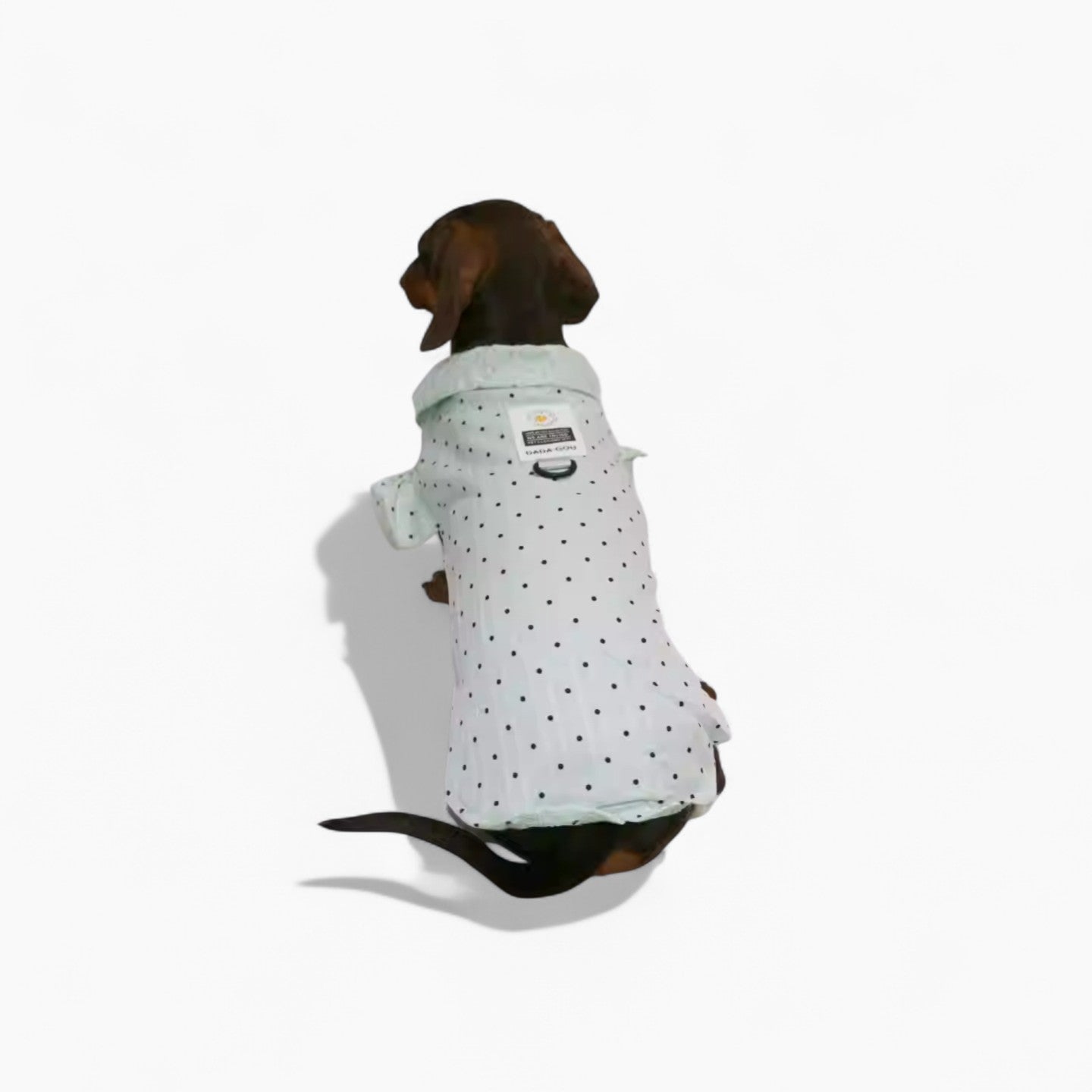 PuffDot-Dachshund-Silky-Shirt.jpg