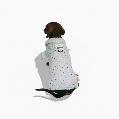 PuffDot-Dachshund-Silky-Shirt.jpg