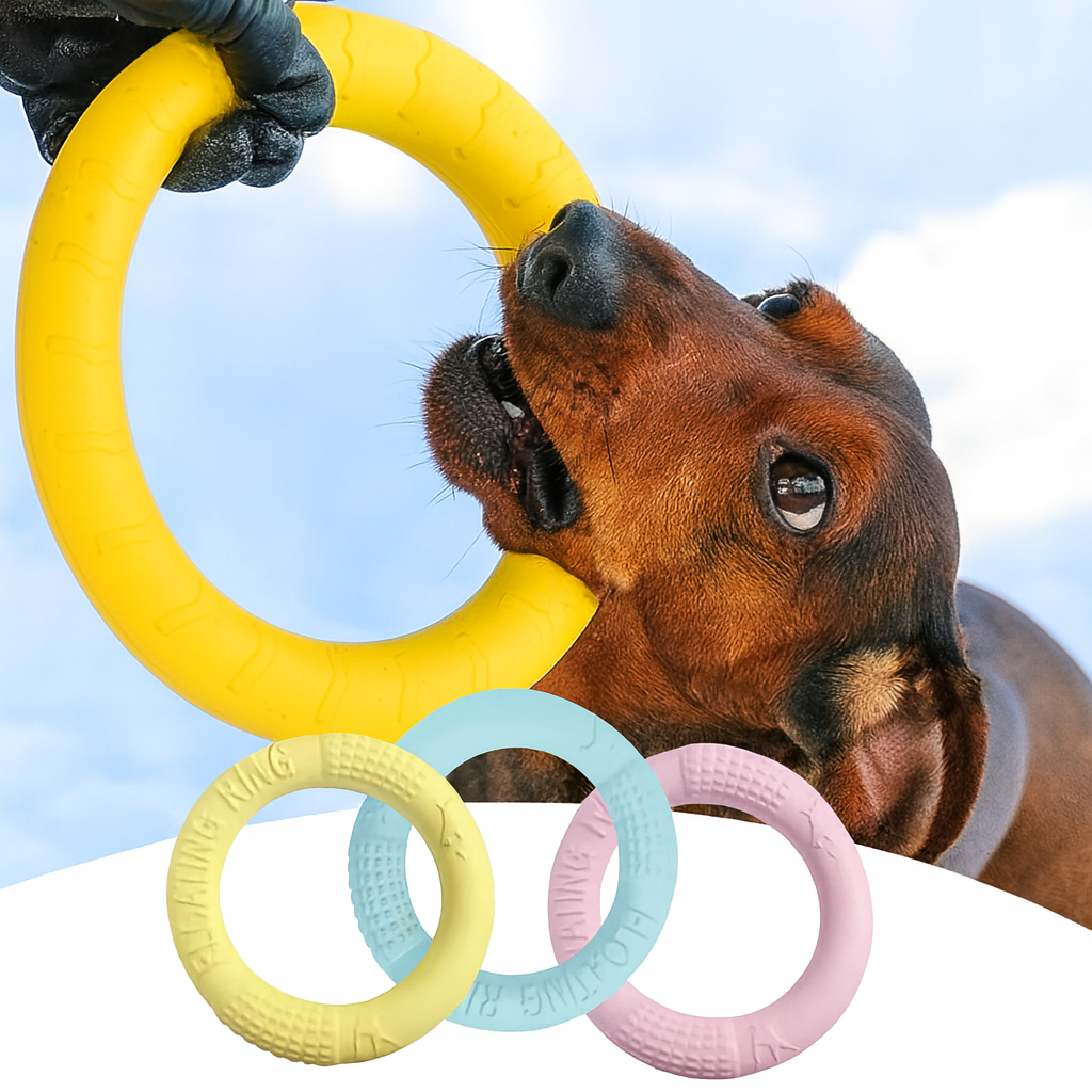 PulliPaw-Dachshund-Flying-Ring-Toy.jpg