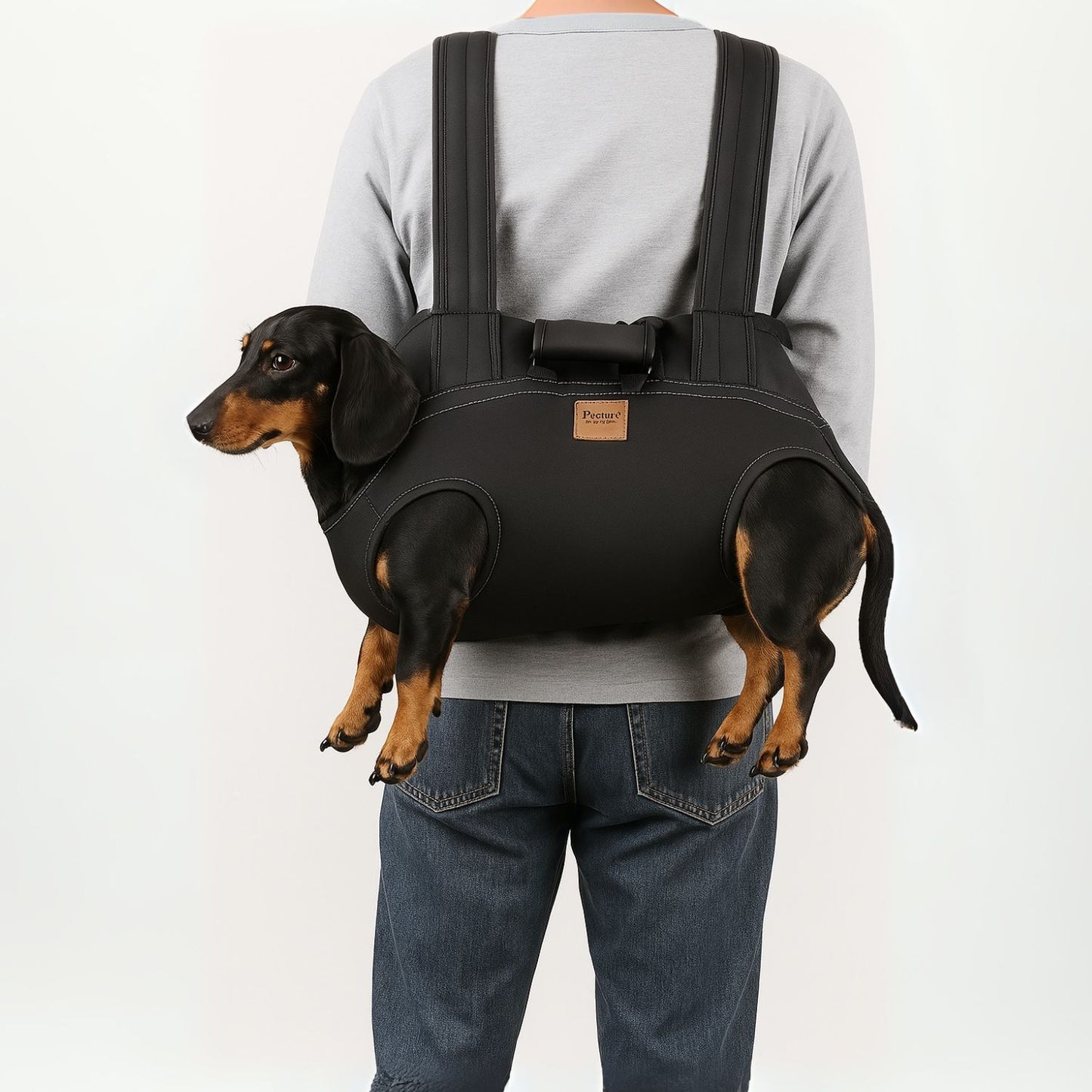 PupPack-Premium-Dachshund-Backpack-Carrier