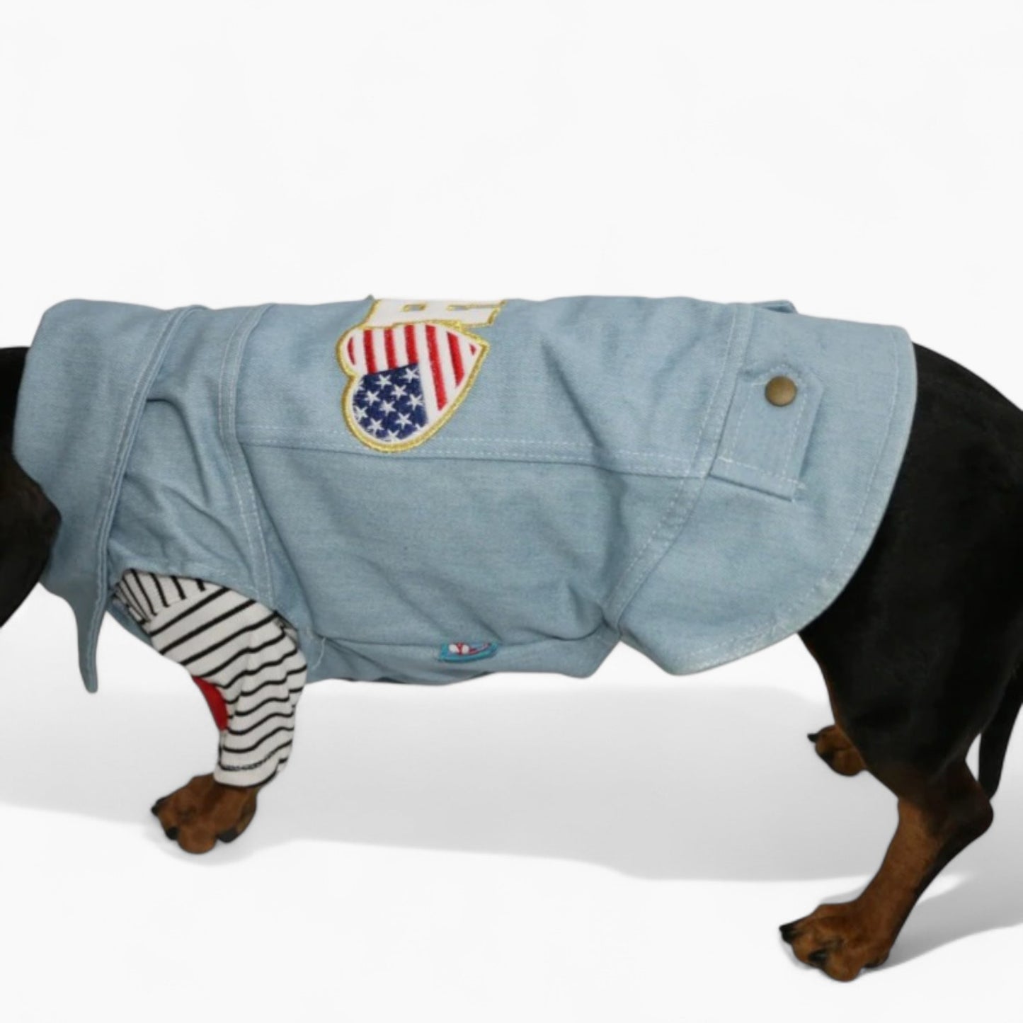 PupPatriot-Dachshund-Jeans-Jacket.jpg