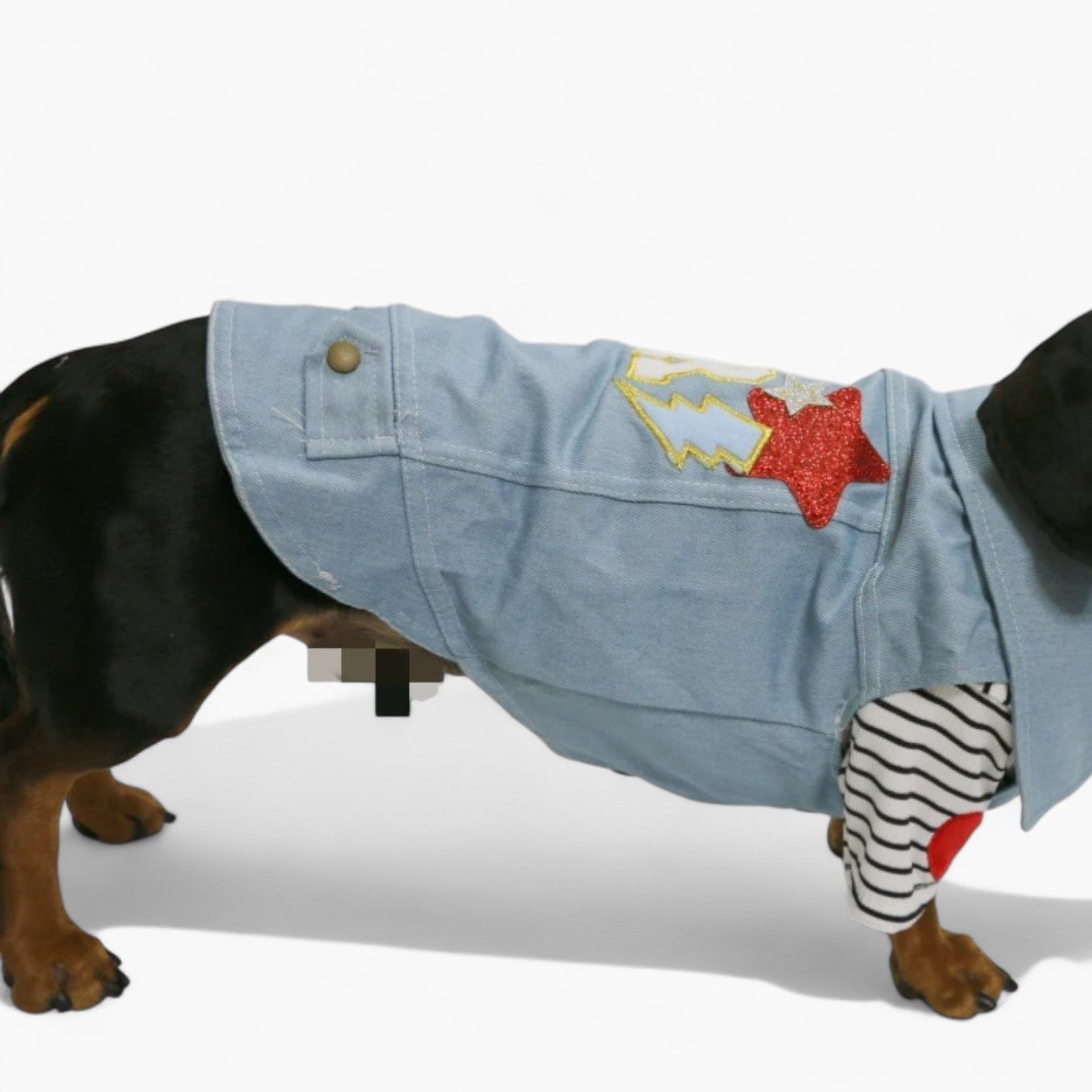 PupPatriot-Dachshund-Jeans-Jacket.jpg
