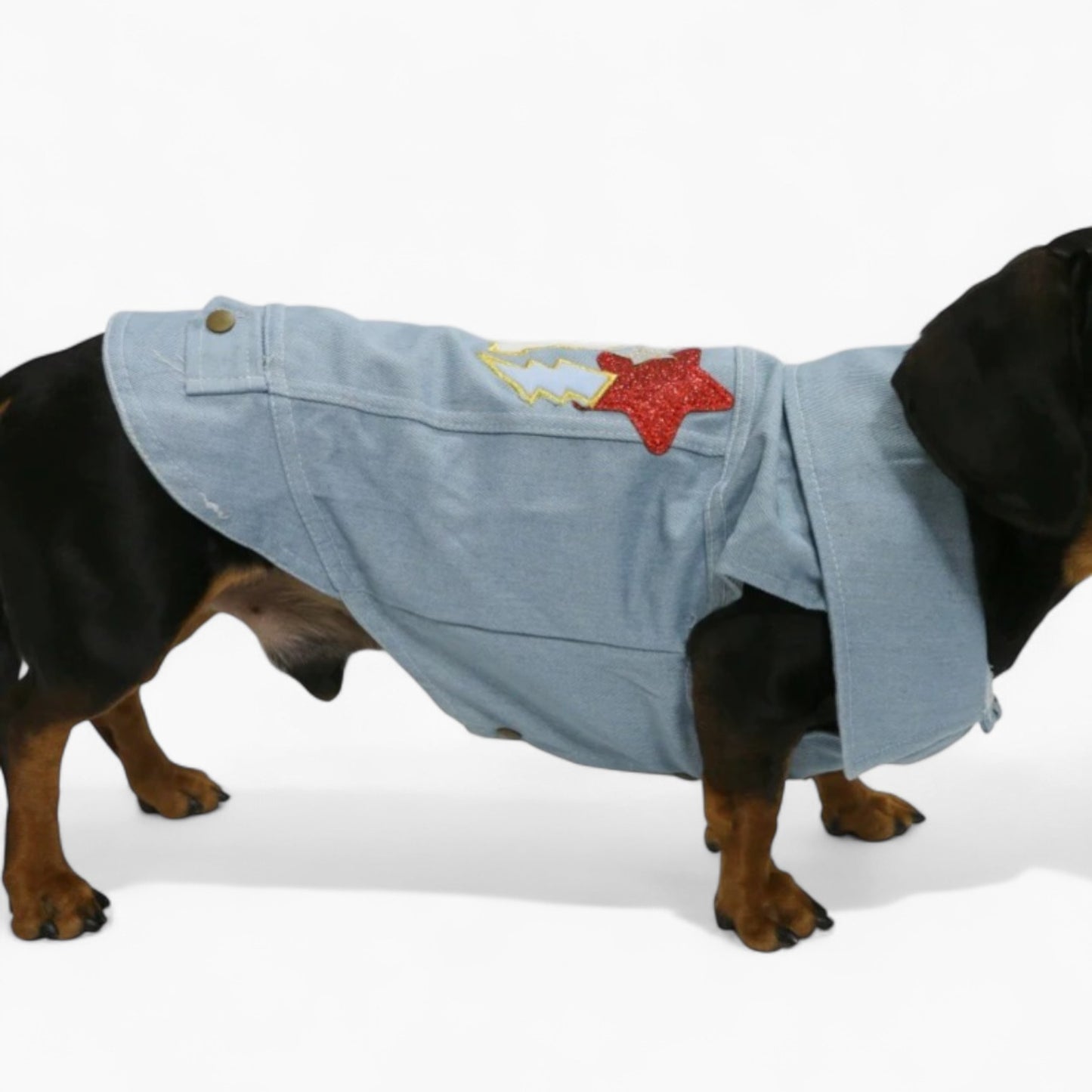 PupPatriot-Dachshund-Jeans-Jacket.jpg