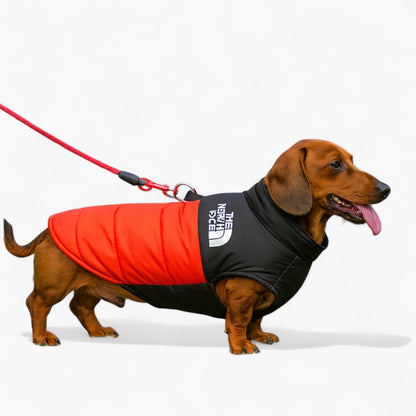 PupShield-Dachshund-Waterproof-Jacket.jpg