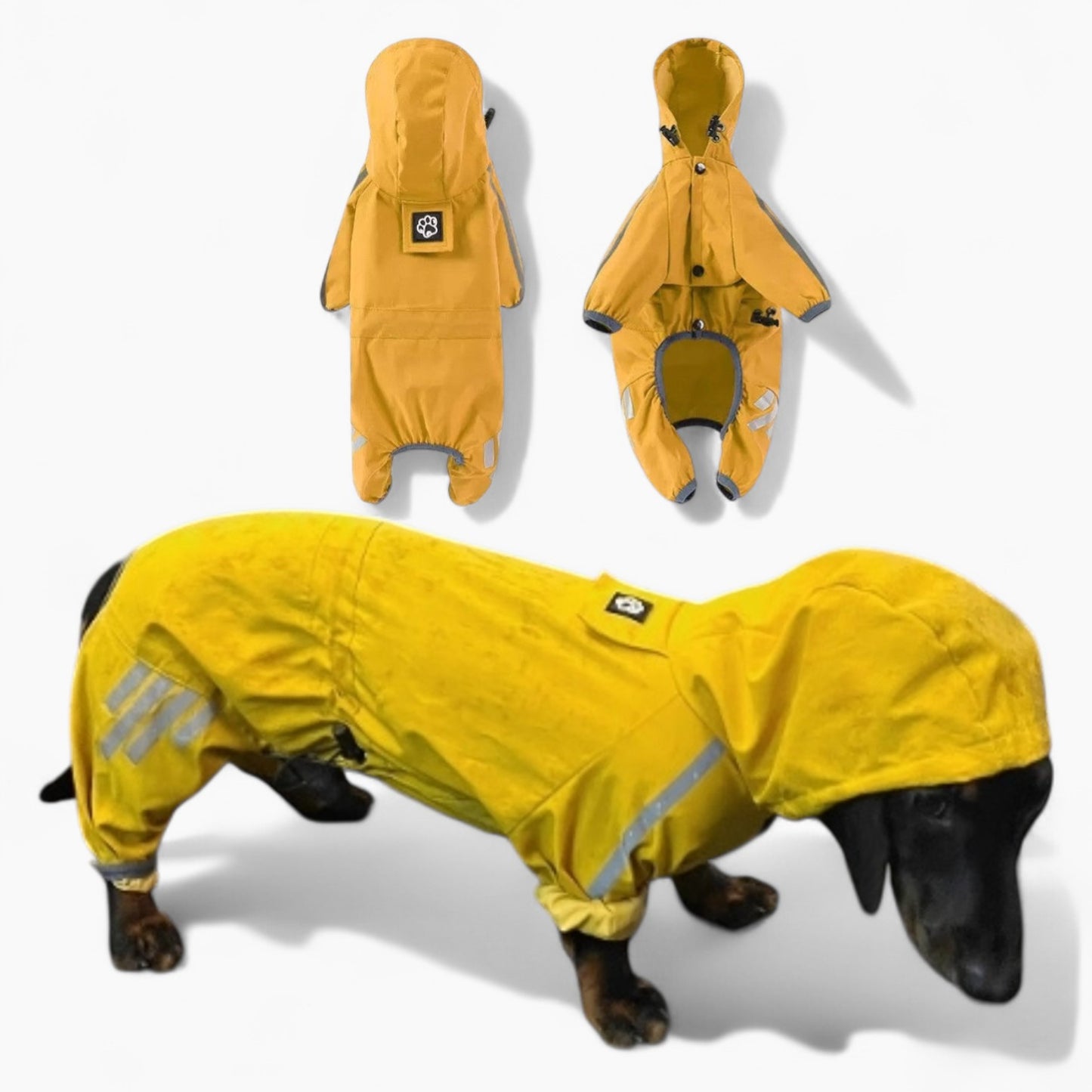 RainRuff-Dachshund-Full-Body-Raincoat.jpg