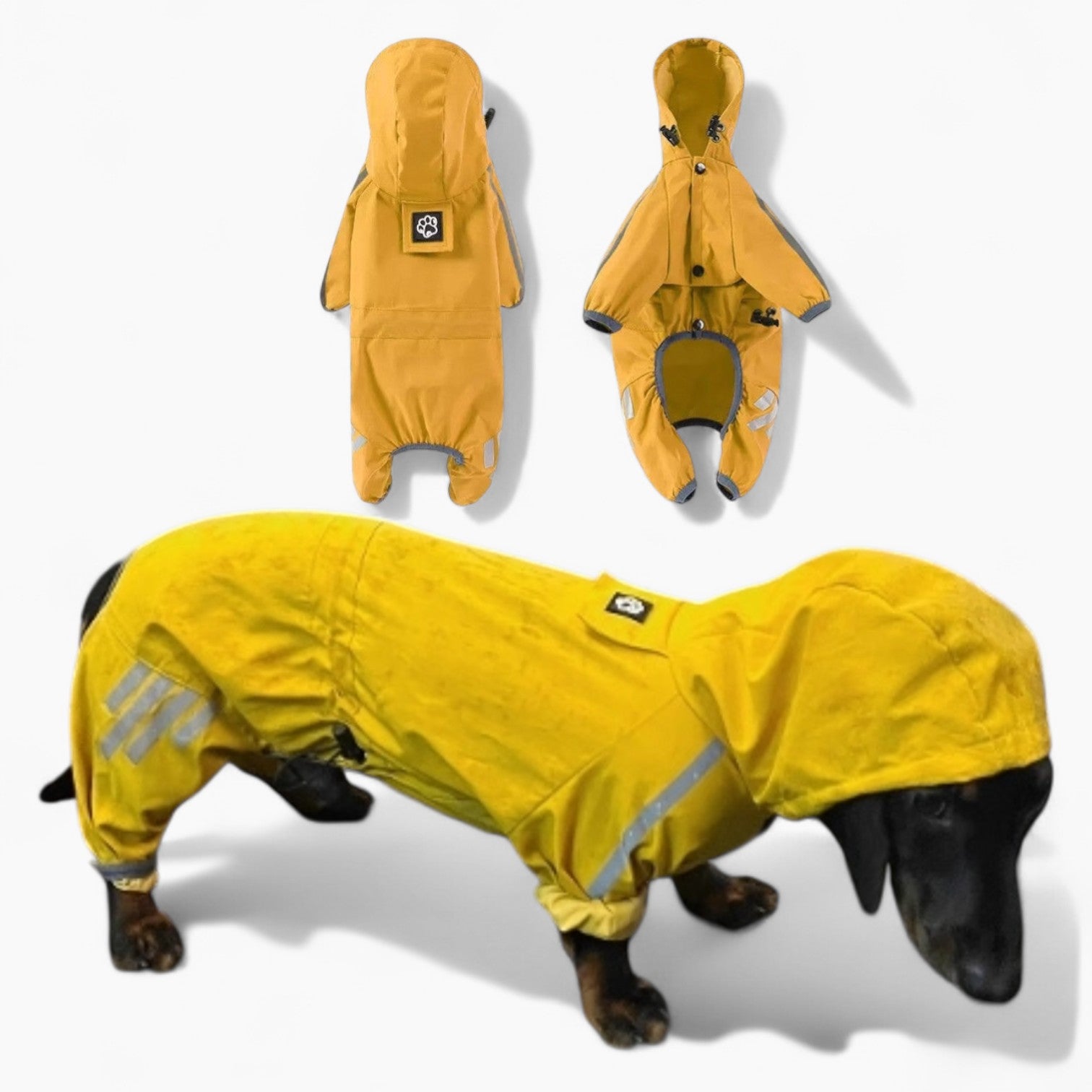 RainRuff-Dachshund-Full-Body-Raincoat.jpg