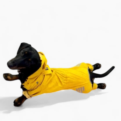 RainRuff-Dachshund-Full-Body-Raincoat.jpg