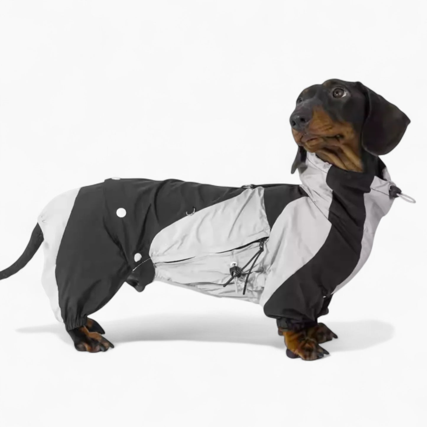 RainRuff-Dachshund-Outdoor-Raincoat.jpg