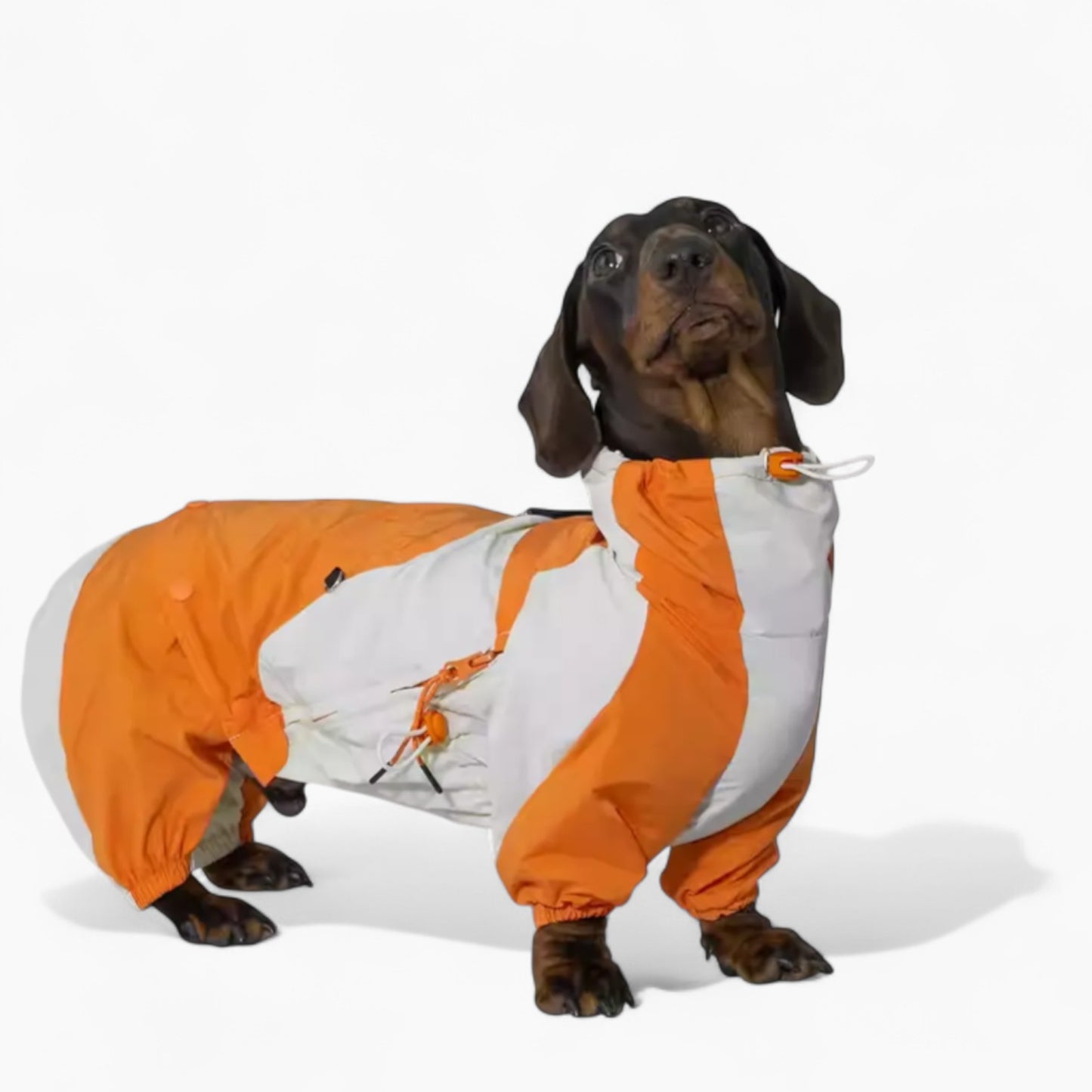RainRuff-Dachshund-Outdoor-Raincoat.jpg