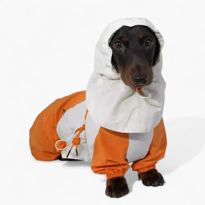 RainRuff-Dachshund-Outdoor-Raincoat.jpg