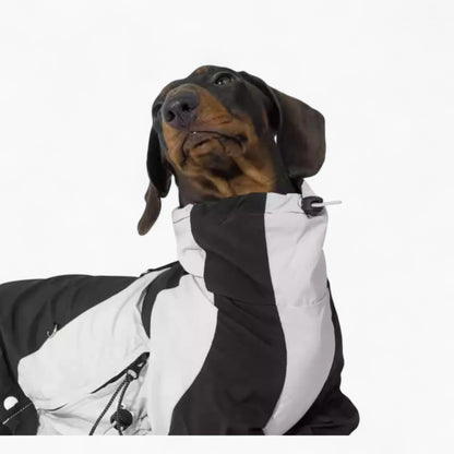 RainRuff-Dachshund-Outdoor-Raincoat.jpg