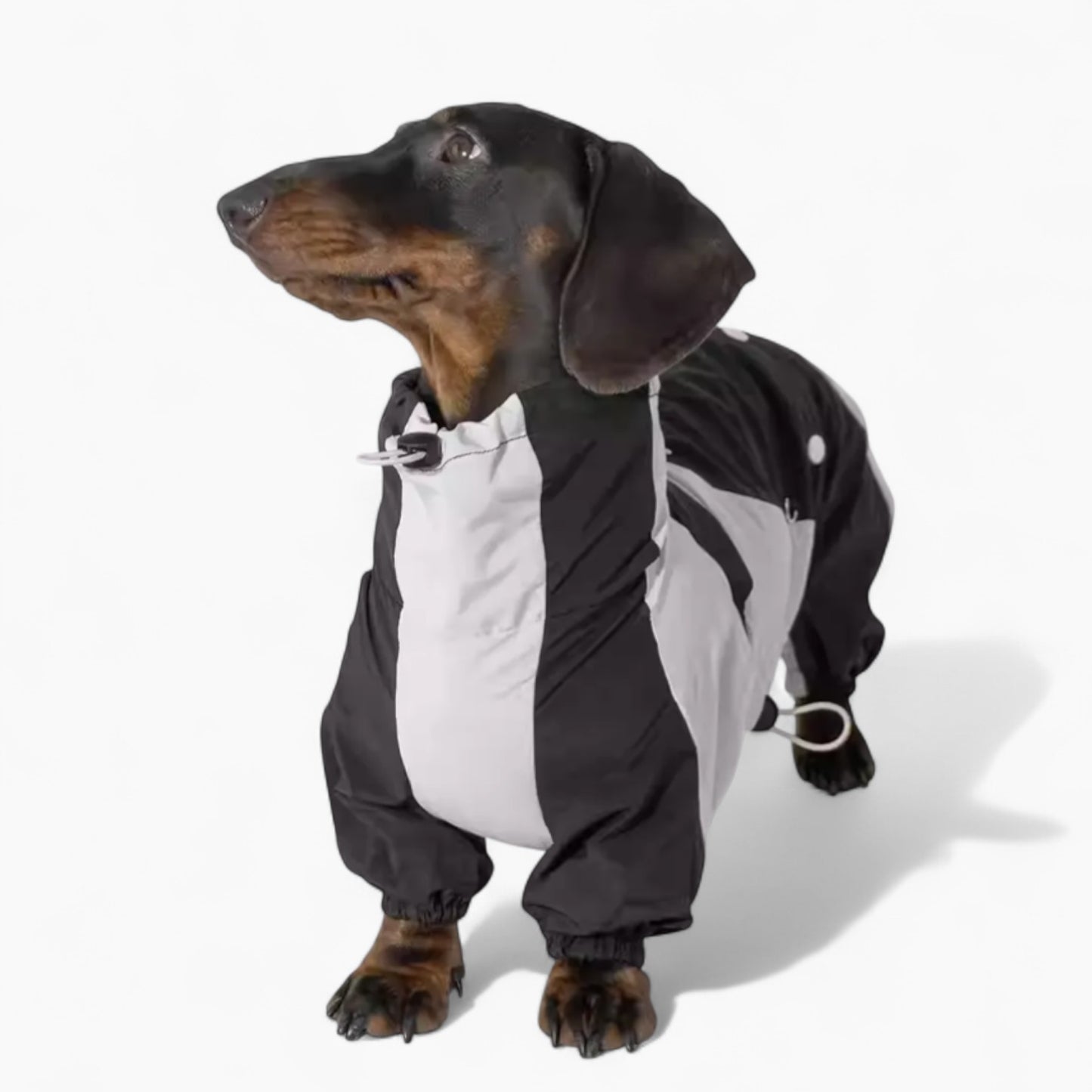 RainRuff-Dachshund-Outdoor-Raincoat.jpg