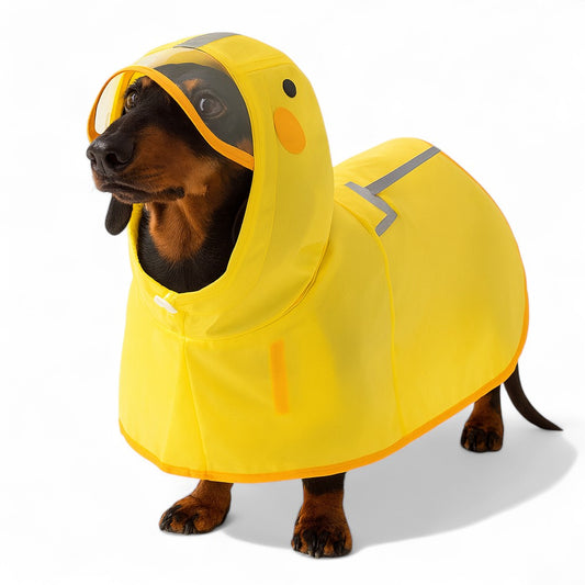 RainyTail-Dachshund-Waterproof-Raincoat.jpg