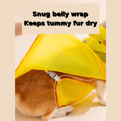 RainyTail-Dachshund-Waterproof-Raincoat.jpg