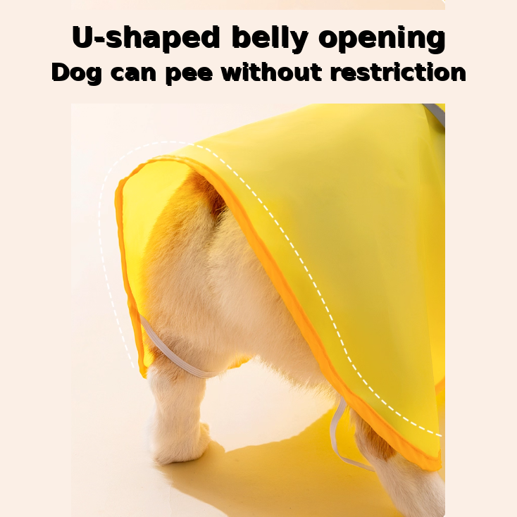 RainyTail-Dachshund-Waterproof-Raincoat.jpg