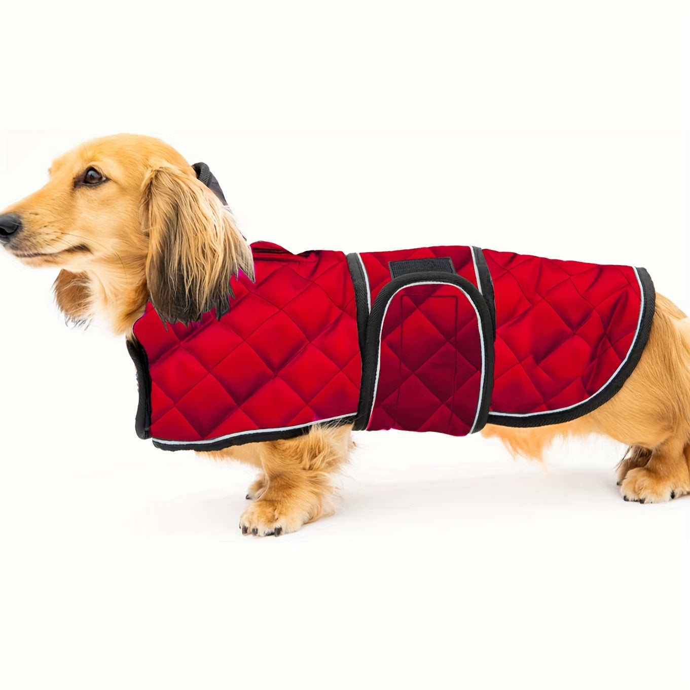 ReflectiveDox-Dachshund-Warm-Jacket-with-Fleece-Lined-Reflective-Strips-doxie.us