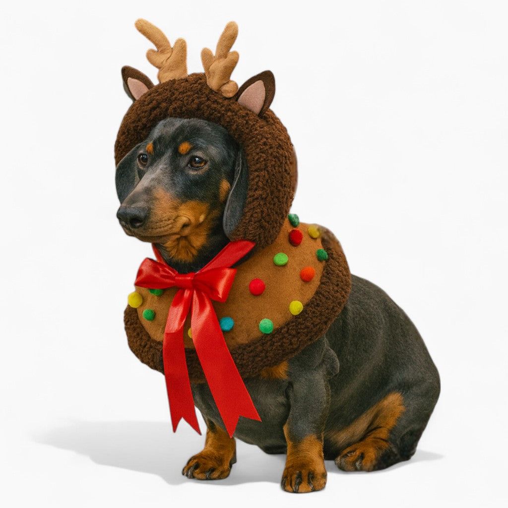 ReinDox-Dachshund-Reindeer-Cape.jpg